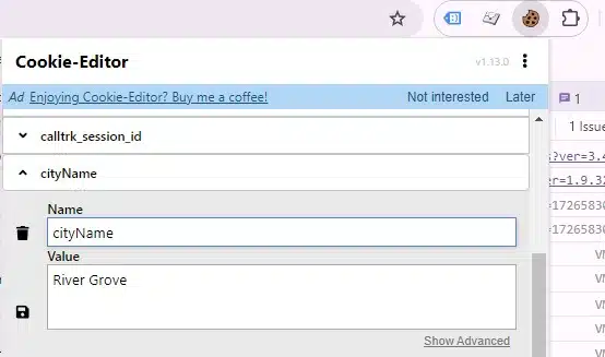 screenshot showing the value of the cityName cooking using the Cookie Editor extension